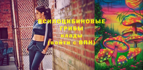 герыч Вяземский