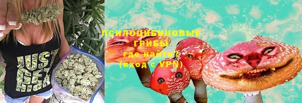 герыч Вяземский