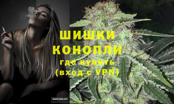 PSILOCYBIN Вязники