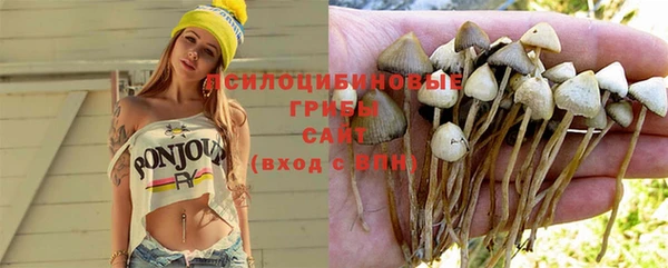 PSILOCYBIN Вязники